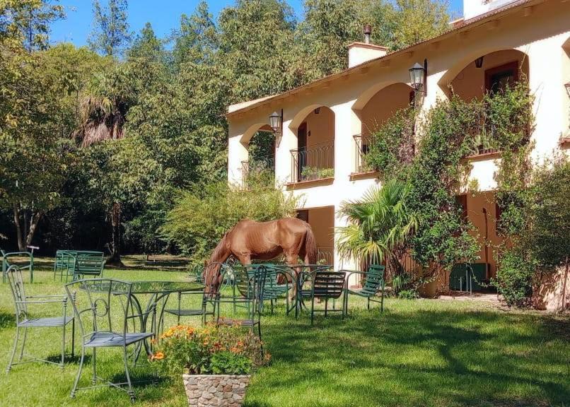 Hotel Loma Bola La Paz  エクステリア 写真